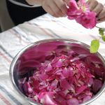 おくだばらえん